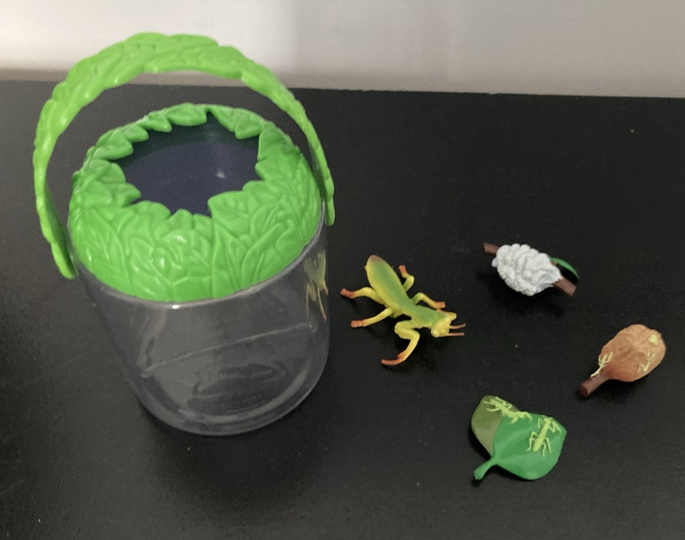 Insect Lore Bug Viewer And Praying Mantis Lifecycle Figures