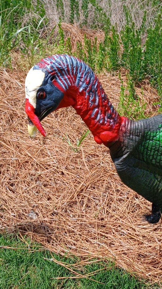Flambeau (2) + Feather Flex (1) Turkey Decoys
