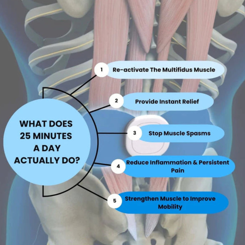 EMS Natural Back Comfort and Support