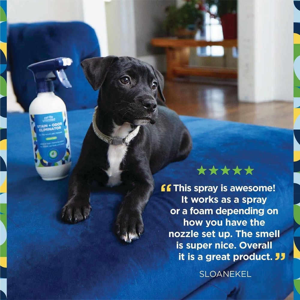 Multi-Surface Pet Stain & Odor Remover Foaming, Juniper Leaf, 16 fl oz