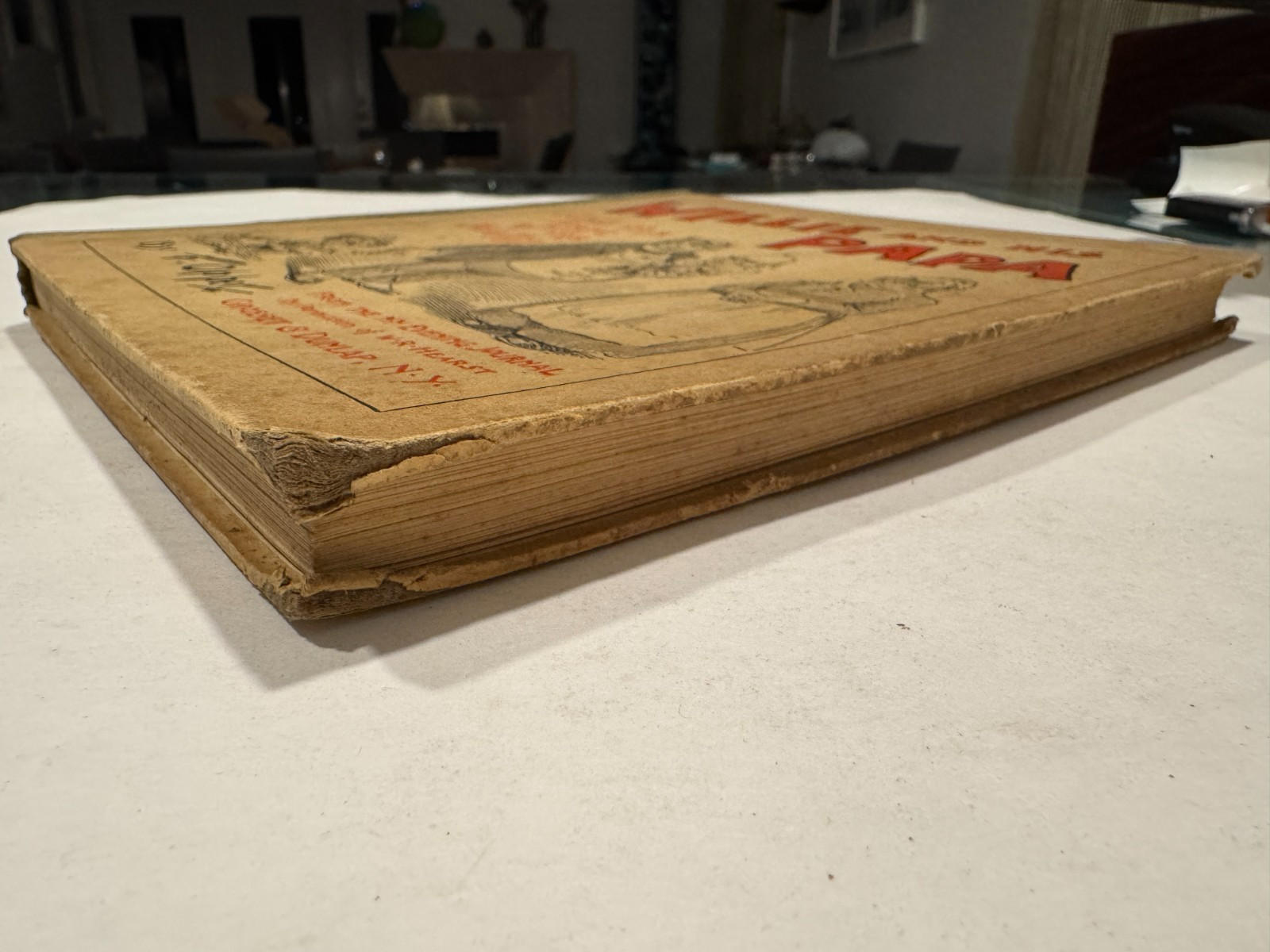 SIGNED BY AUTHOR! Willie and His Papa F. Opper 1901 Book McKinley Teddy Satire