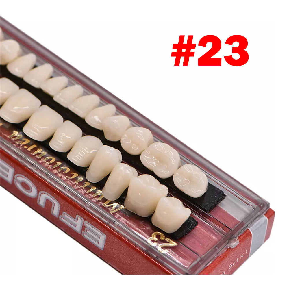 Dental Acrylic Resin Denture Shade A2 A3 Upper Lower Full Set False Teeth