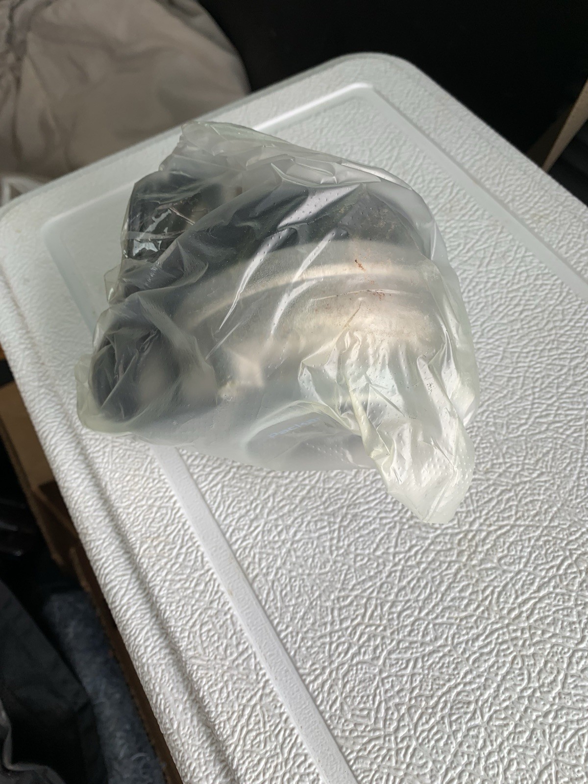 PACKARD UNIT BEARING FAN MOTOR 65109, Water damaged box on bottom of Box.