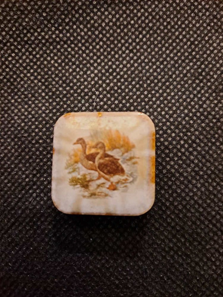 TWO DUCKS MAGNET!   e3805XTT