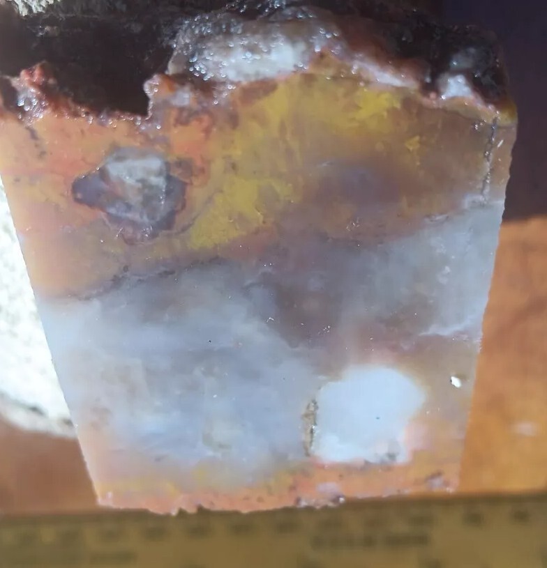 Volcanic Petrified Wood Limb Casting End Cut From Cube Utah See Cube