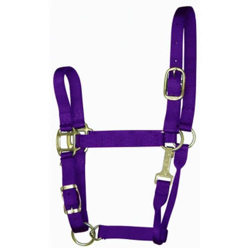 Hamilton Quality 1" Nylon Adjustable Halter With Snap