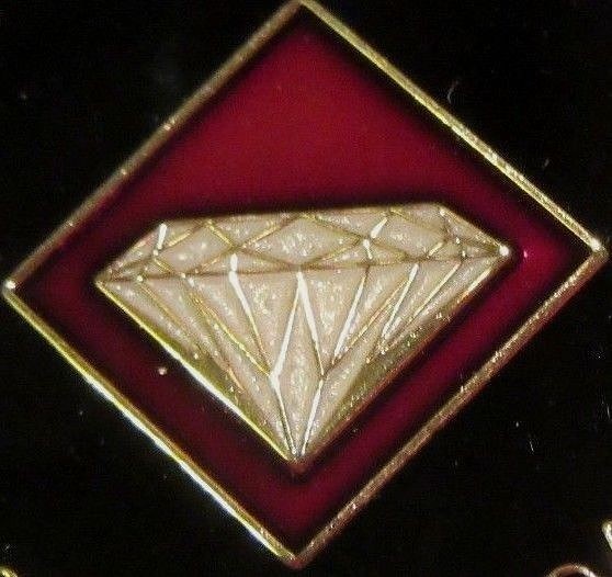 Narcotics Anonymous Burgundy Red 10 Year White Medallion Clean NA Token Chip