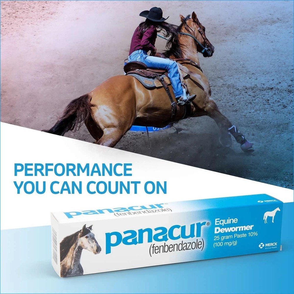 Panacur Dewormer Horse Paste 10%, 100mg | Single