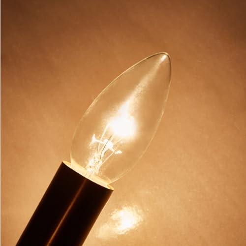 12-Pack 40W 110V Incandescent Candle Light Bulbs Dimmable Chandelier Sz-40watt