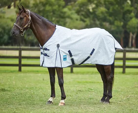 Kool Coat Classic With Surcingles III Standard Neck