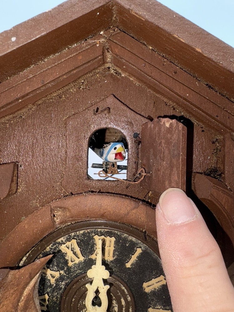 Vintage Regula Cuckoo Clock Germany W/ Bird & Rabbit Needs Work Untested
