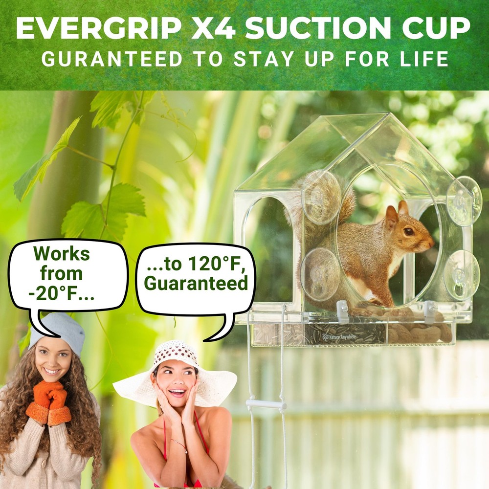 Window Squirrel Feeder - Funny Chipmunk Feeder - Easy Install - No Assembly