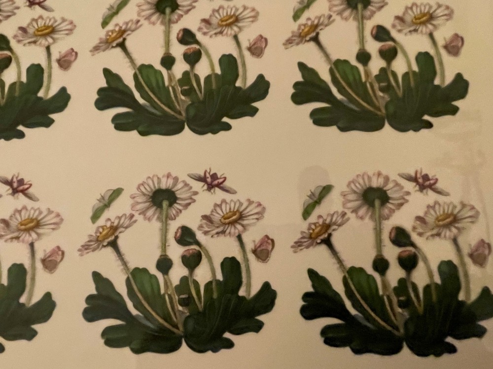 Portmeirion Botanic Garden Ceramic Lasagna Rectangular Baking Dish, Daisy 12 In
