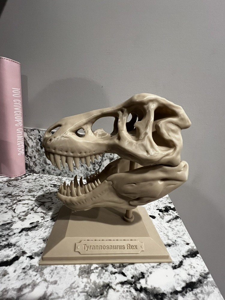 t rex skull replica