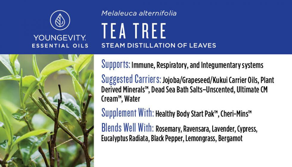 Youngevity ns Tea Tree Essential Oil