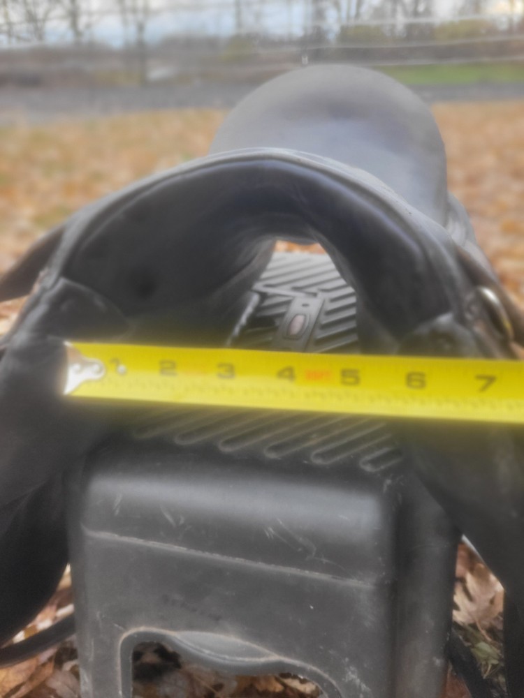 17 inch schleese dressage saddle