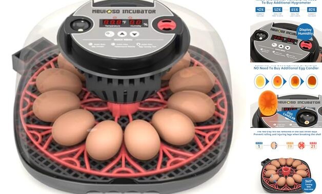 12-24 Egg Incubator with Humidity Display, Egg Candler, Automatic Egg Red