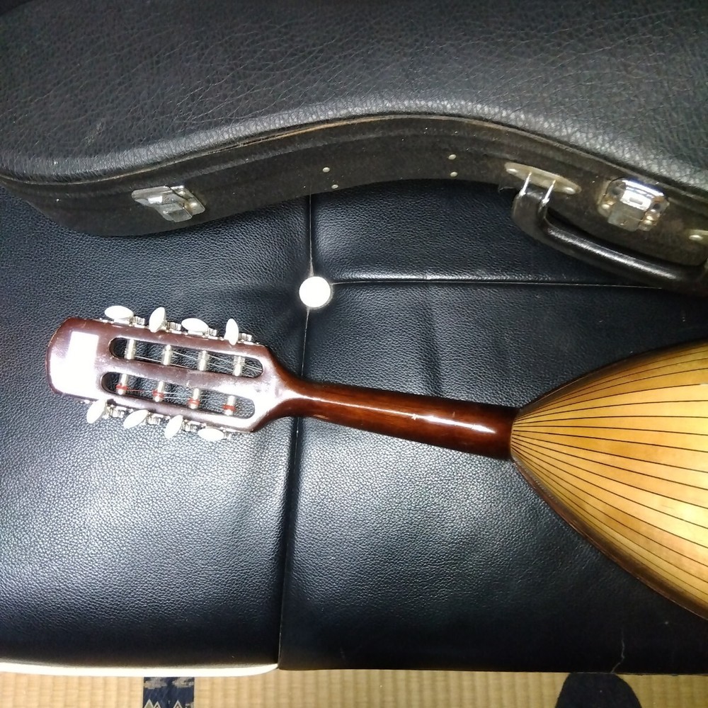 String instrument mandolin with case