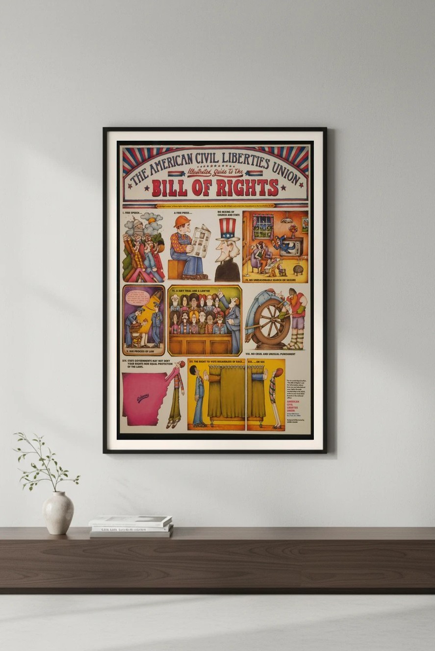 🗽Bill of Rights ACLU Illustrated Guide Poster - 24x36” 70s Retro Decor🎨 -