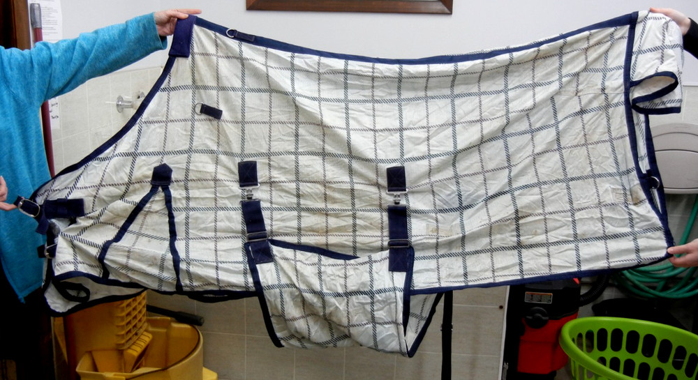 Horse Fly Sheet, size 69"
