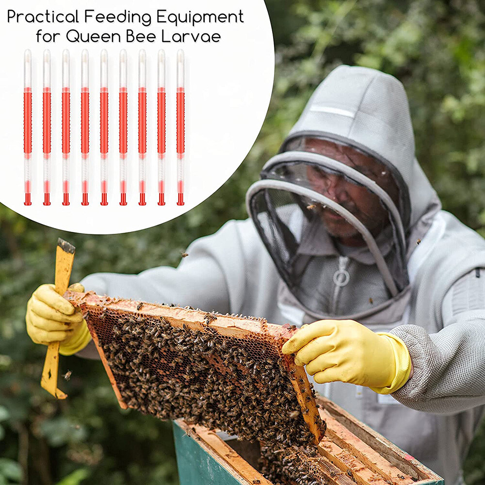 10Pack Beekeeping Moving Grafting Tools Shift Needle Beekeeper Bee Hive Queen US