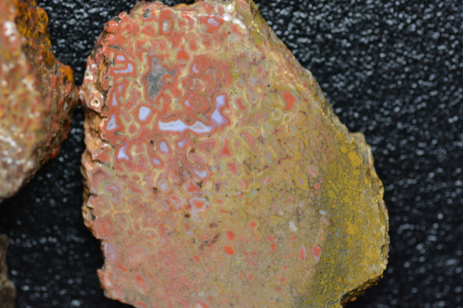 100 Grams of Agatized Dinosaur Bone Slabs