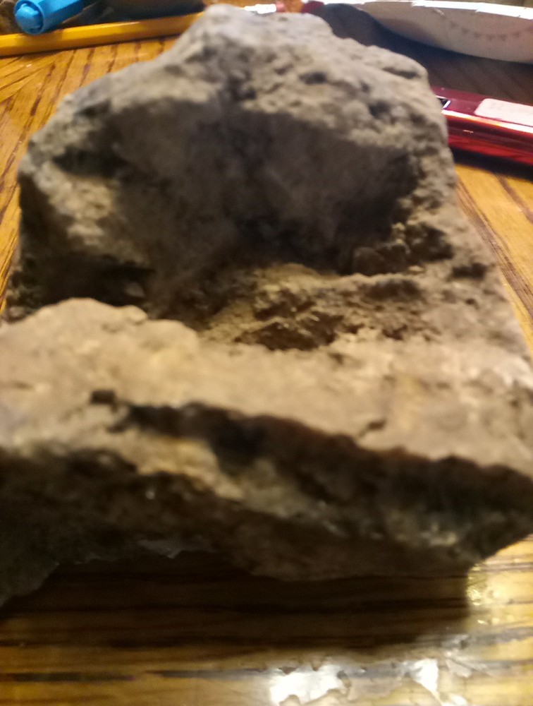 Fossils
