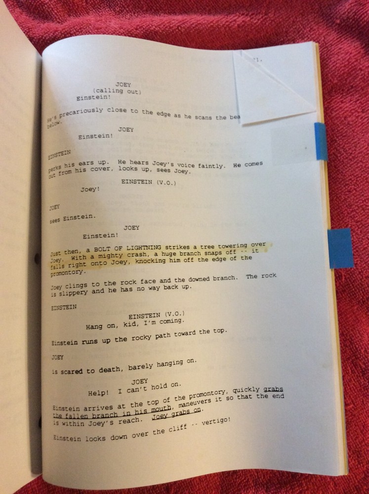 ORIGINAL SCRIPT BREAKFAST WITH EINSTEIN SHIA LEBEOUF CHEECH MARIN PRESLEY RARE