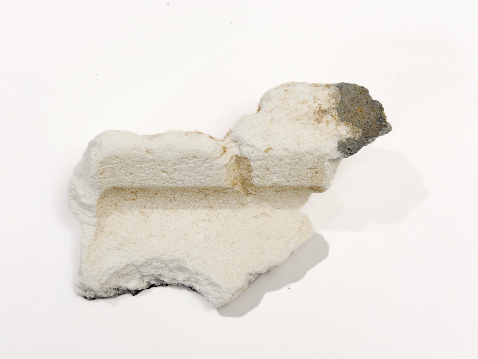 Space X Starship Flight 1 Heat Shield Tile Historic IFT-1 SN24 Set (Lg)