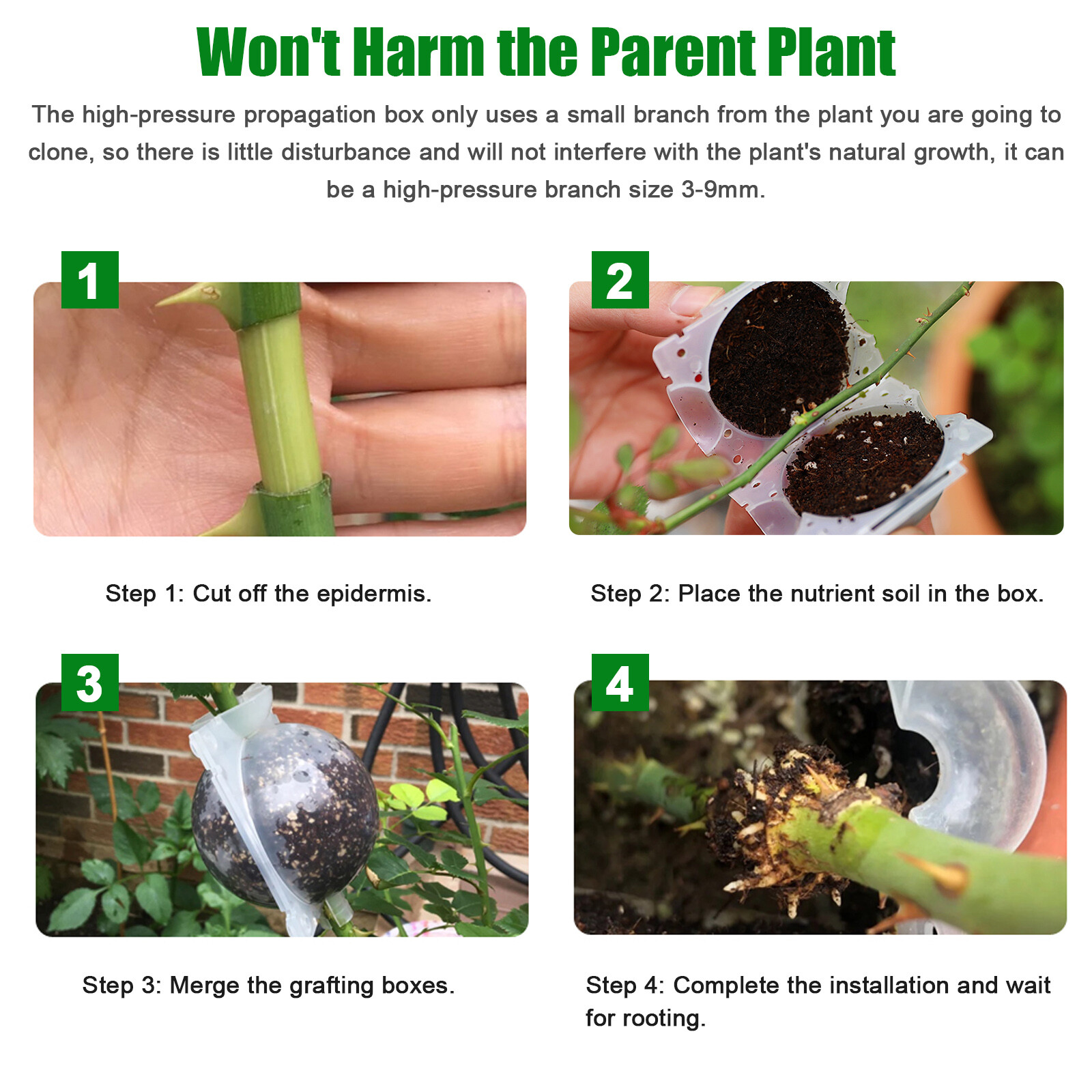 10Pcs 5CM Plant Root Growing Box Reusable Air Layering Pods for Fast Propagation