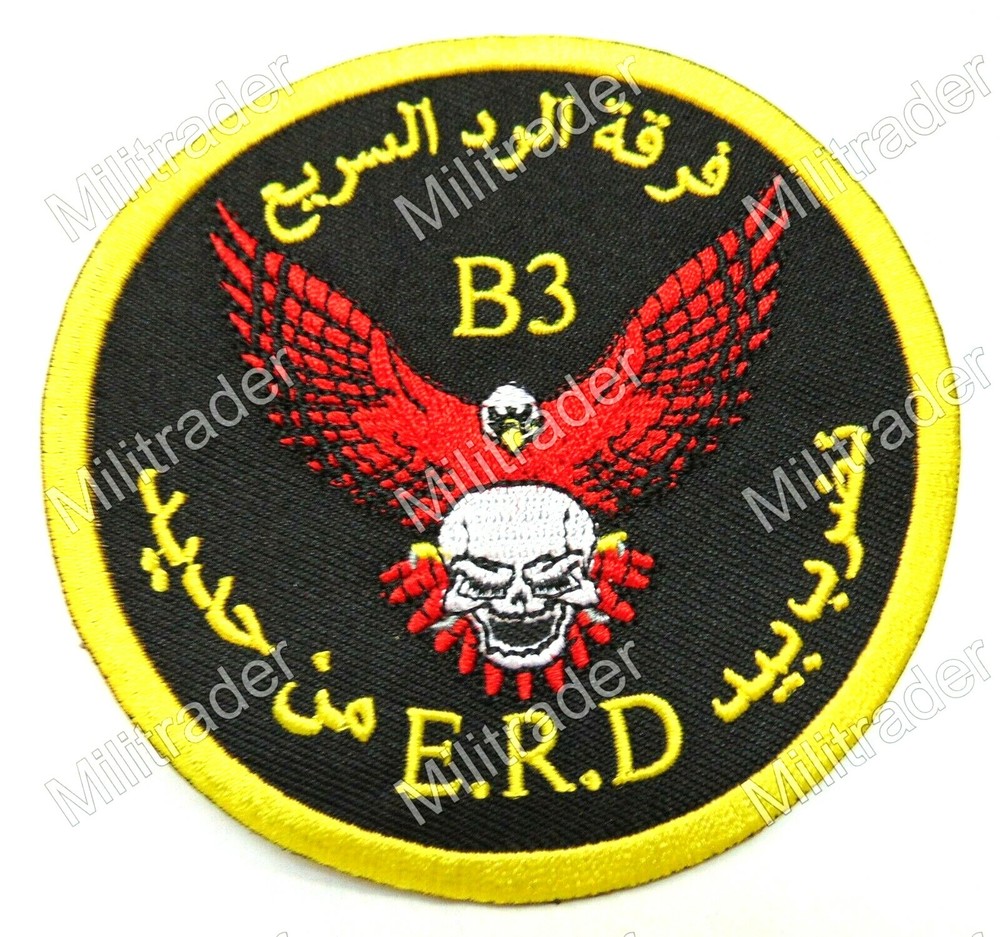 Iraqi 3rd Battalion 3rd Rapid Response Brigade Patch