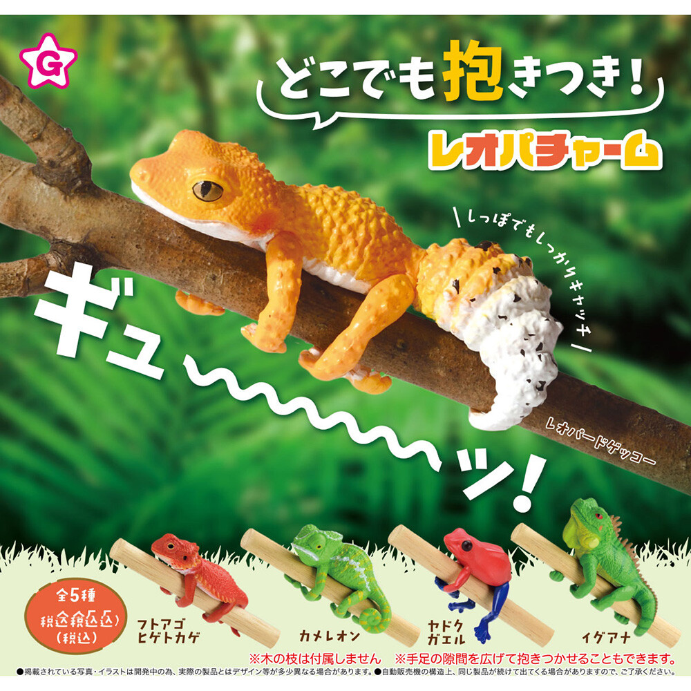 Hugging Leopard Gecko & Friends Poison Dart Frog Bearded Dragon Chameleon Iguana