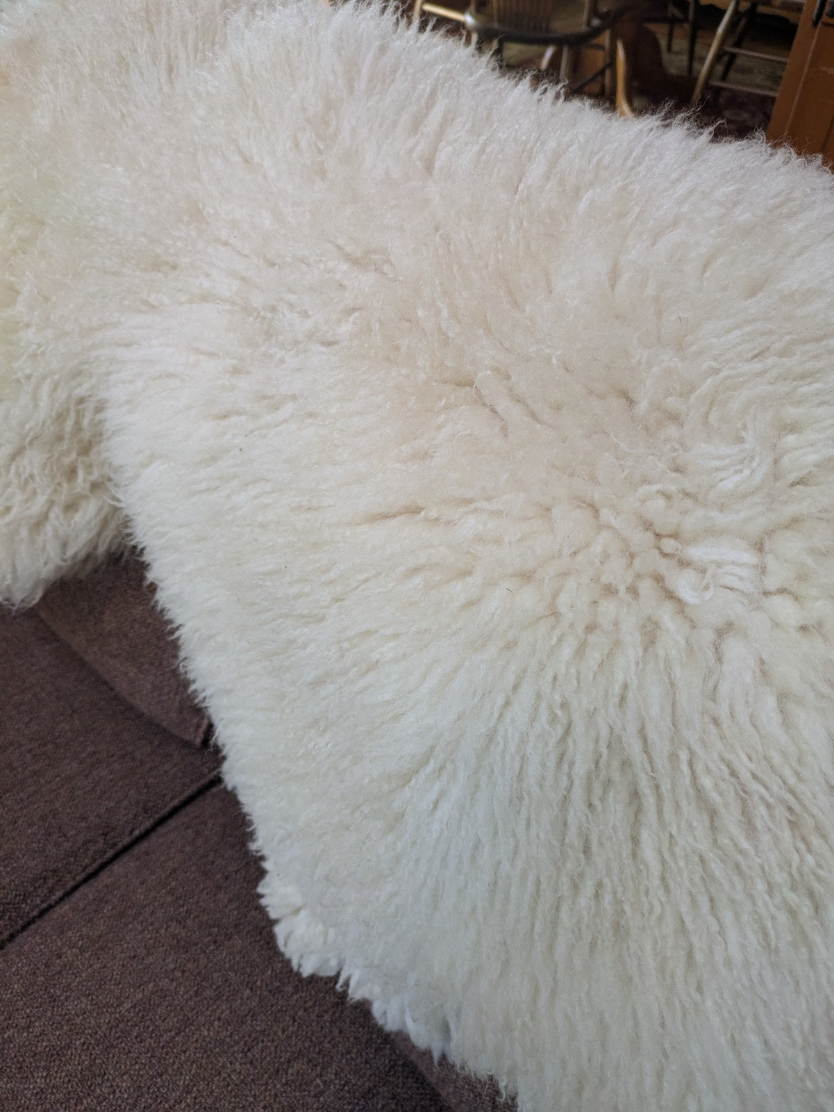 Champagne Color Curly Sheepskin Rug or Throw ,100% Natural Sheepskin