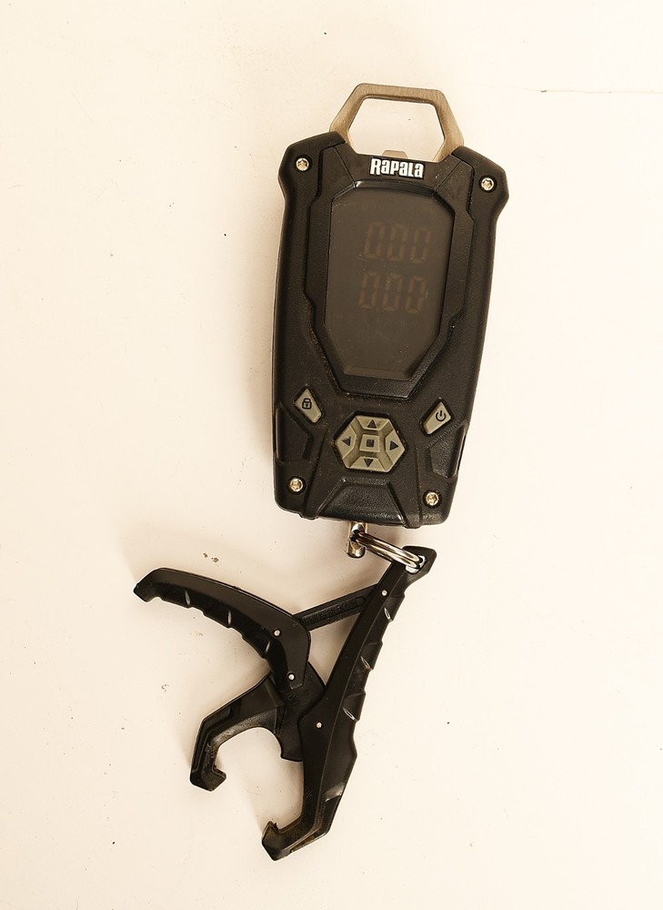 Rapala High Contrast Digital Fish Scale - Nice