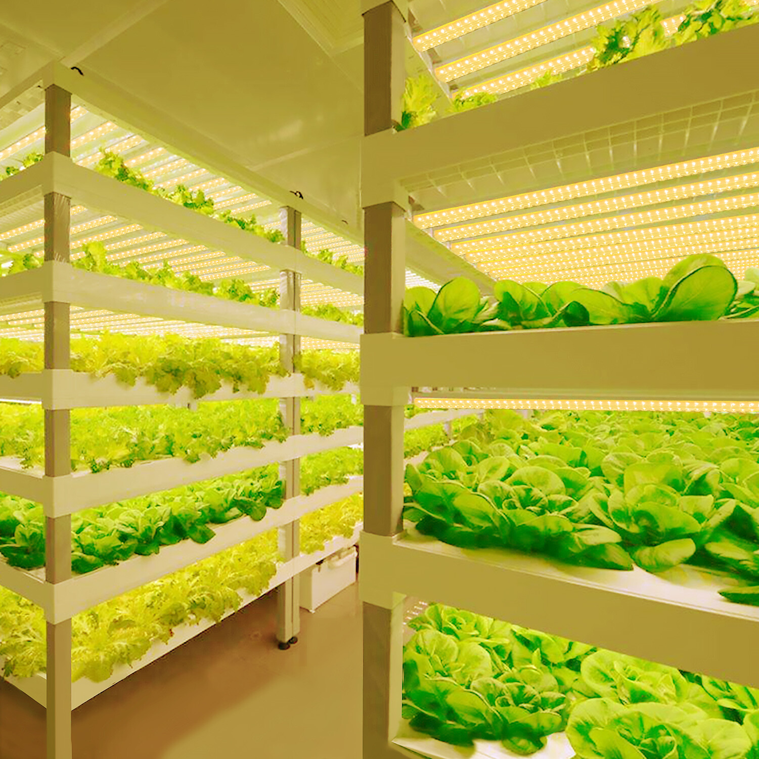 T8 4FT 50W LED Grow Lights Full Spectrum 3000K LED Tube Light Fixture With Timer