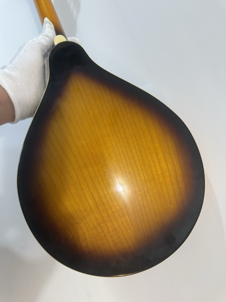 Kentucky KM-150S Mandolin Sunburst with soft case