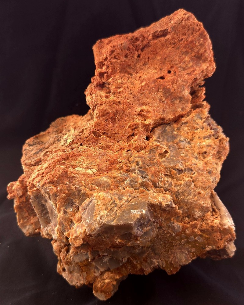 Az Rainbow Petrified Wood