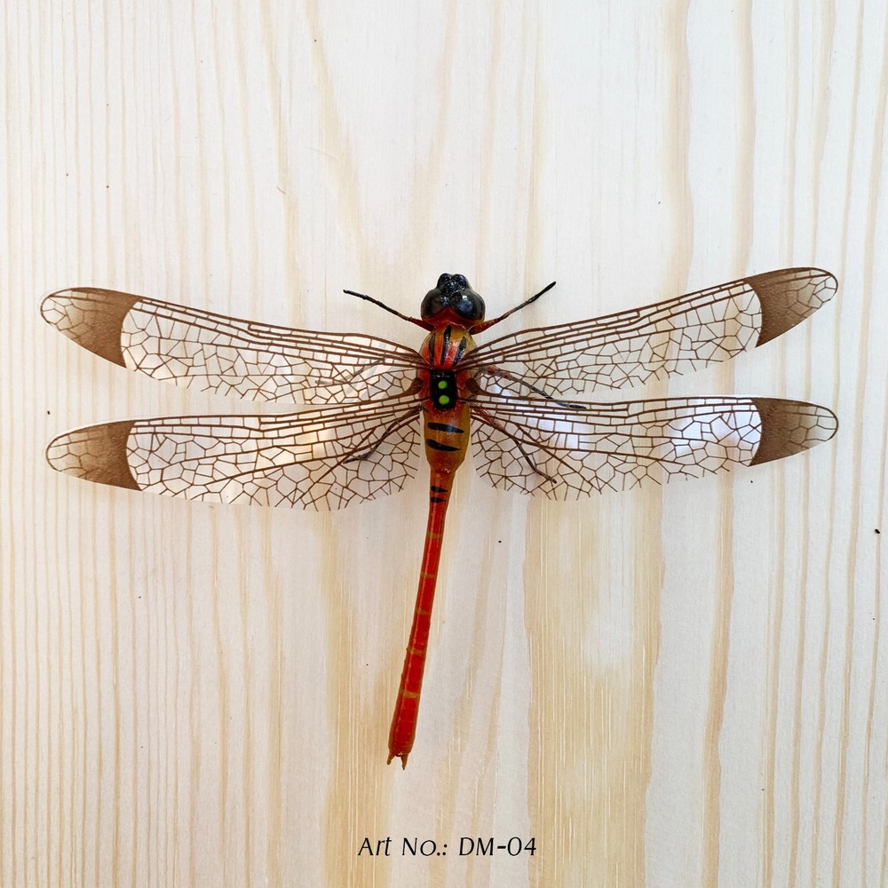 Dragonflies with Magnets