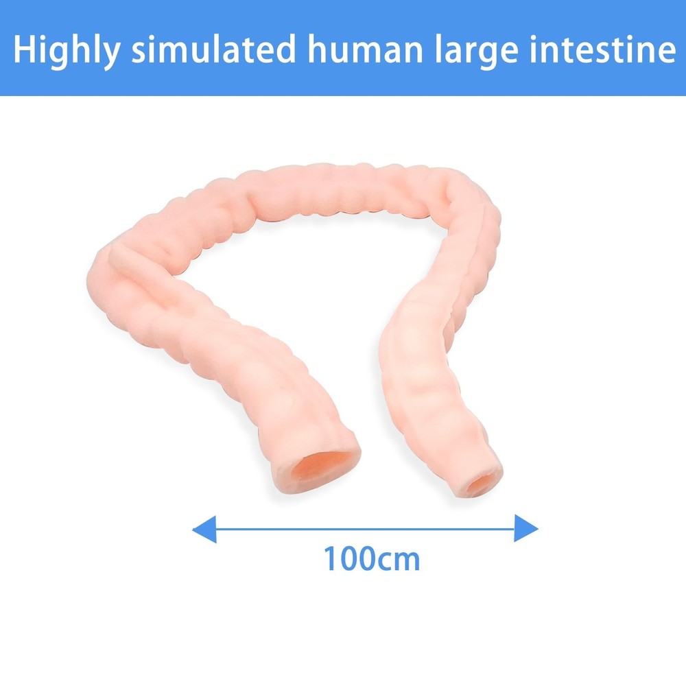 Large Intestine Model,Colon Suturing Practice,Electrocautery Practice, Unders...