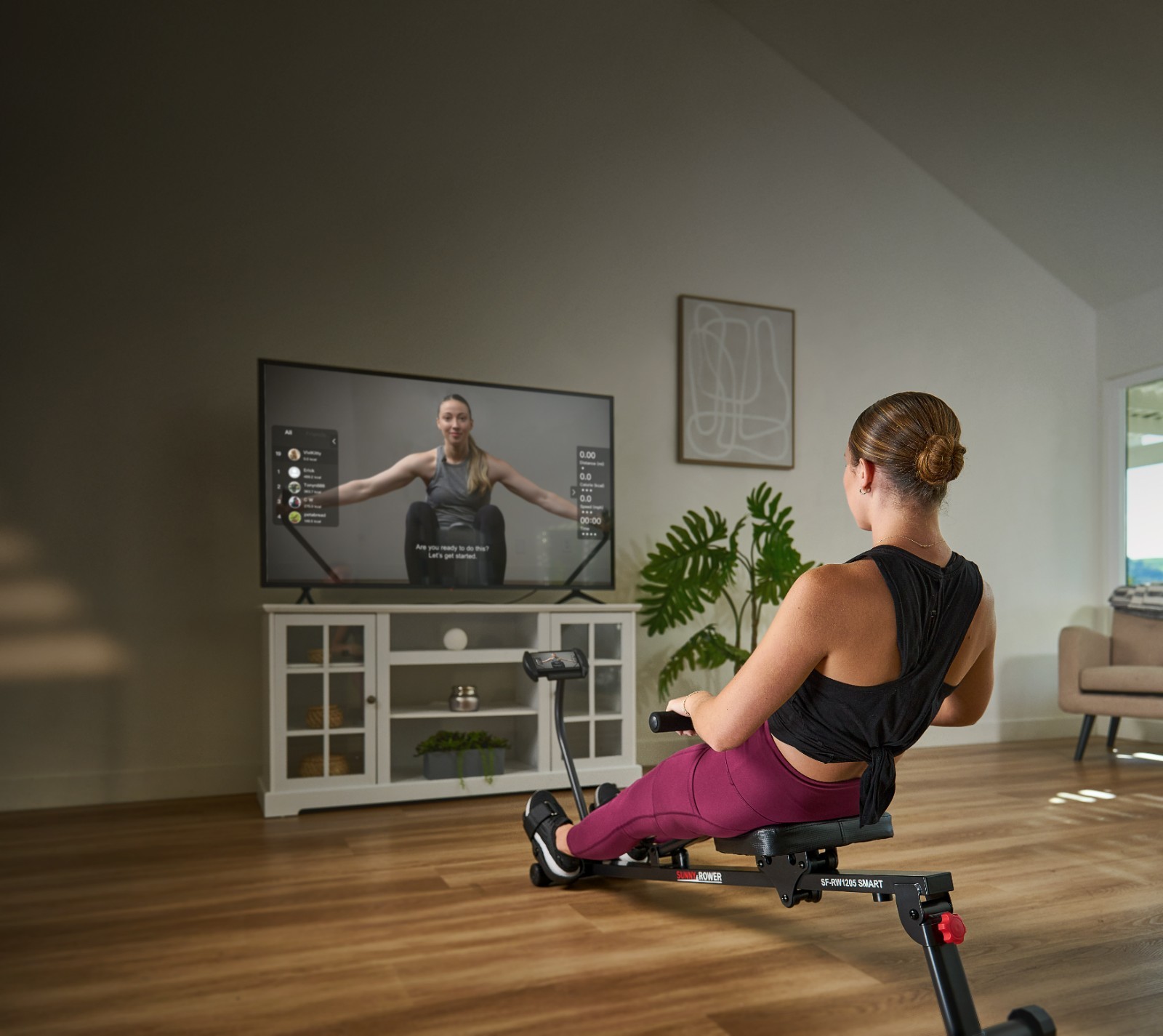 Sunny Health & Fitness Adjustable Rowing Machine Compact 12 Levels of Resistance