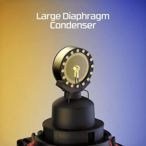 – Large Diaphragm Condenser Mic, XLR Connection ProCast Microphone