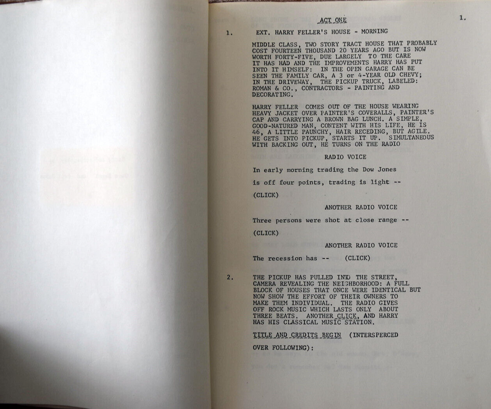 1976 "Twenty Shades of Pink" Original Screenplay Script