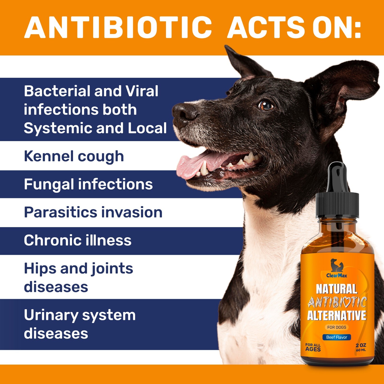 Natural Antibiotics for Dogs | Allergy & Infection Relief | Beef Flavor | 2 Oz