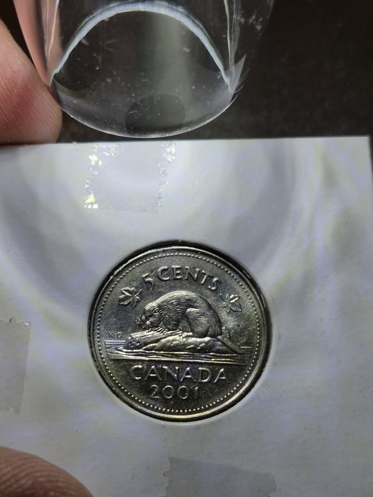 2001 Canada 5 Cent "BUG TAIL" Error And Others