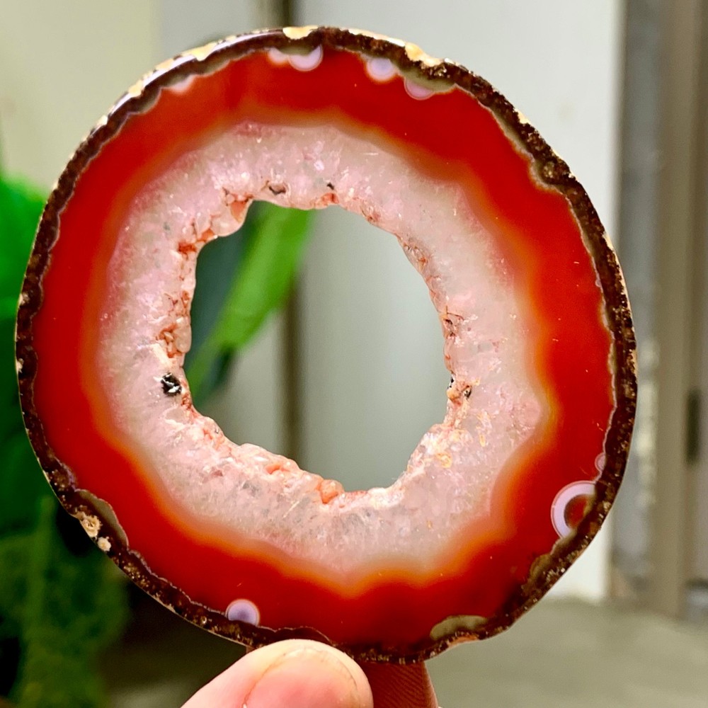 38G Natural Beautiful Agate Geode Druzy Slice Extra Large Gemstone