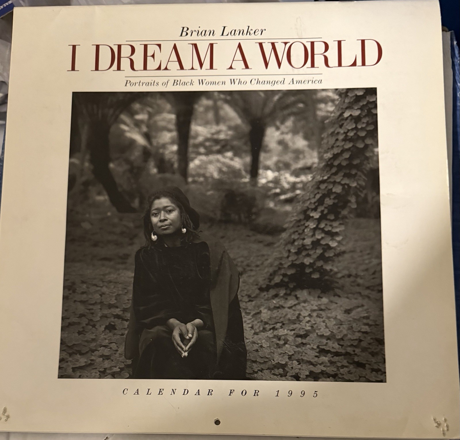 Vtg 1993 Frameable Calendar I Dream A World Alice Walker, Author On Cover