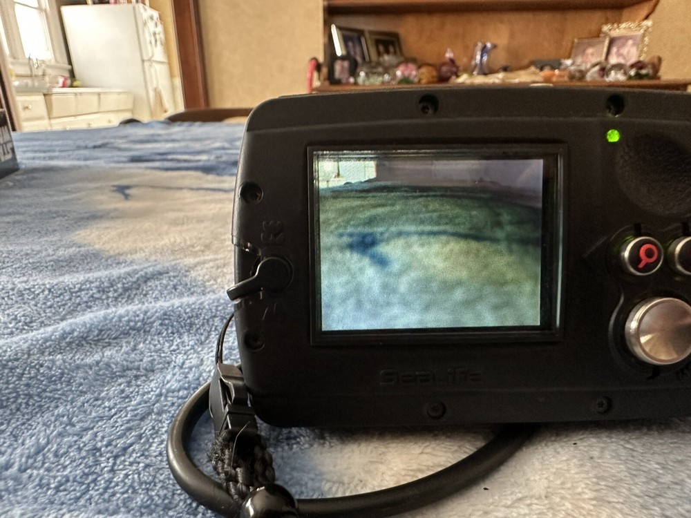Sea life Dive Camera