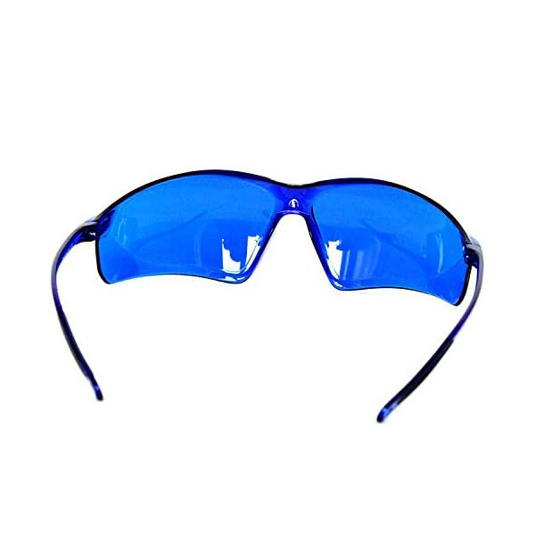 NEW Mushroom Finding & Antler Shed Hunting Blue Hunting Finder Glasses