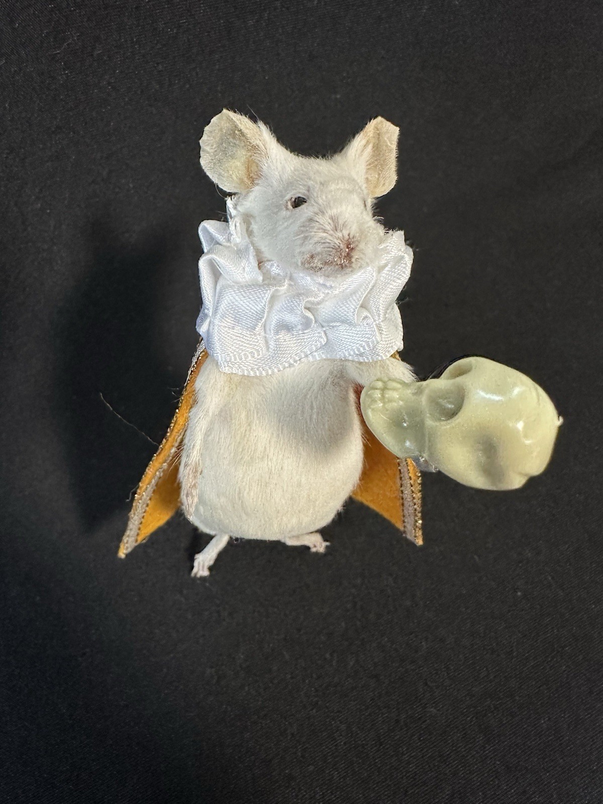 Taxidermy Mouse Hamlet Mouse Oddities Curiosities Taxidermy Art