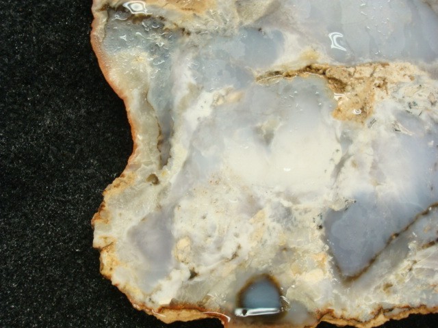 burro creek agate slab